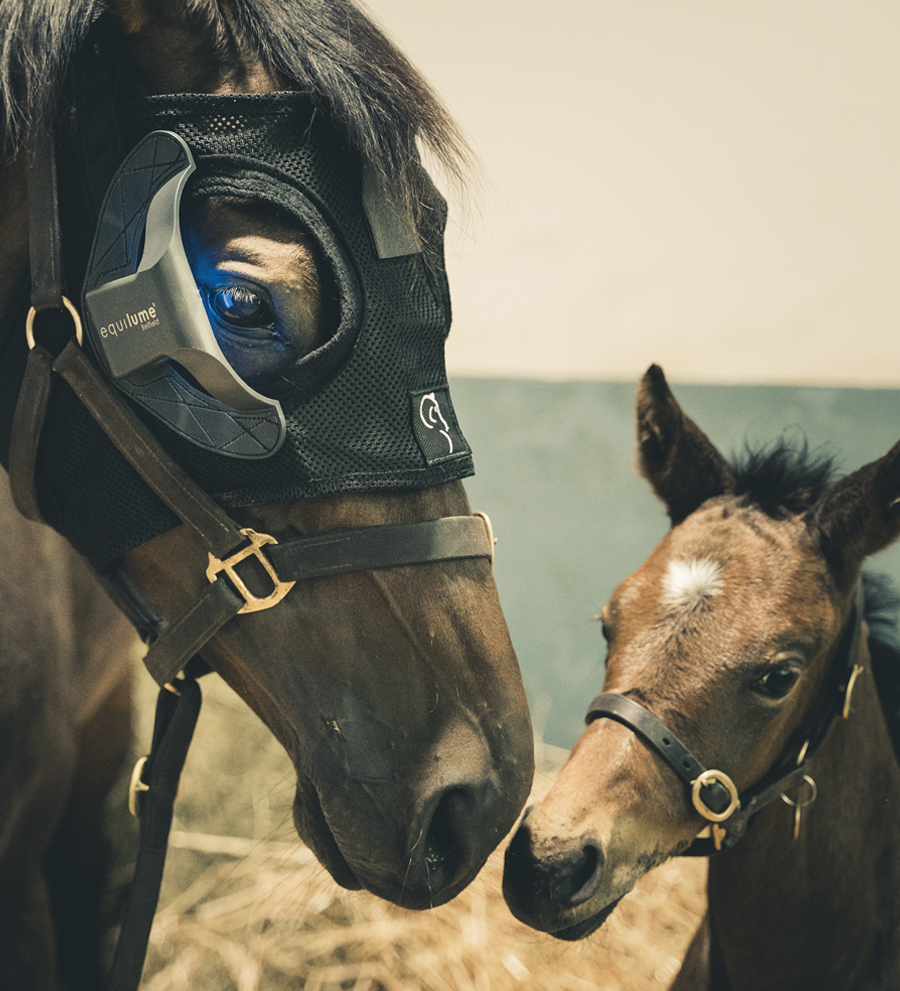Equilume Belfield Light Mask