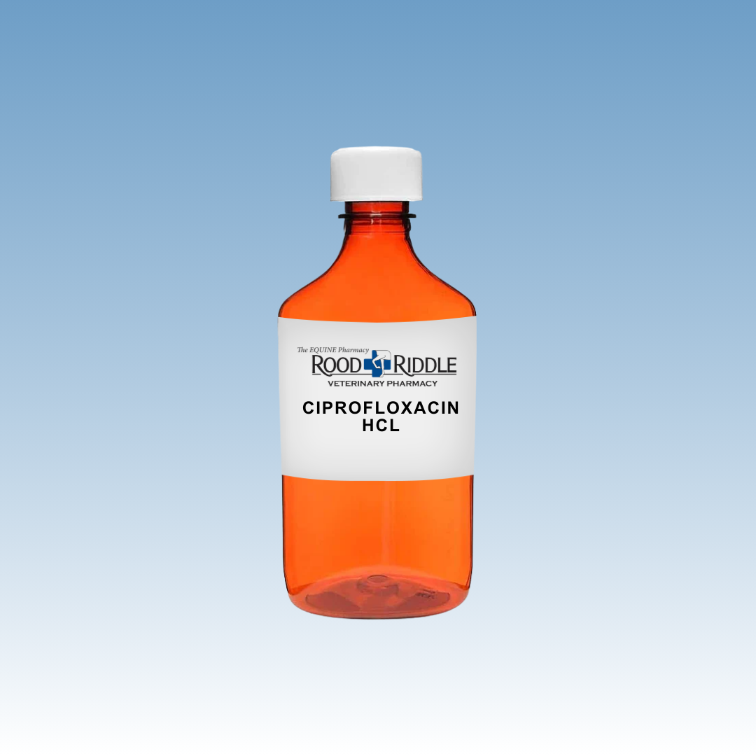 Ciprofloxacin HCL