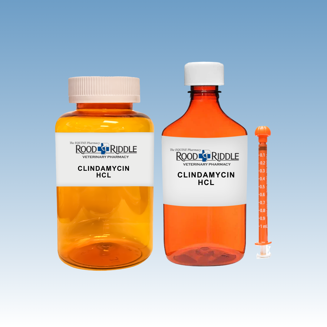 Clindamycin HCl