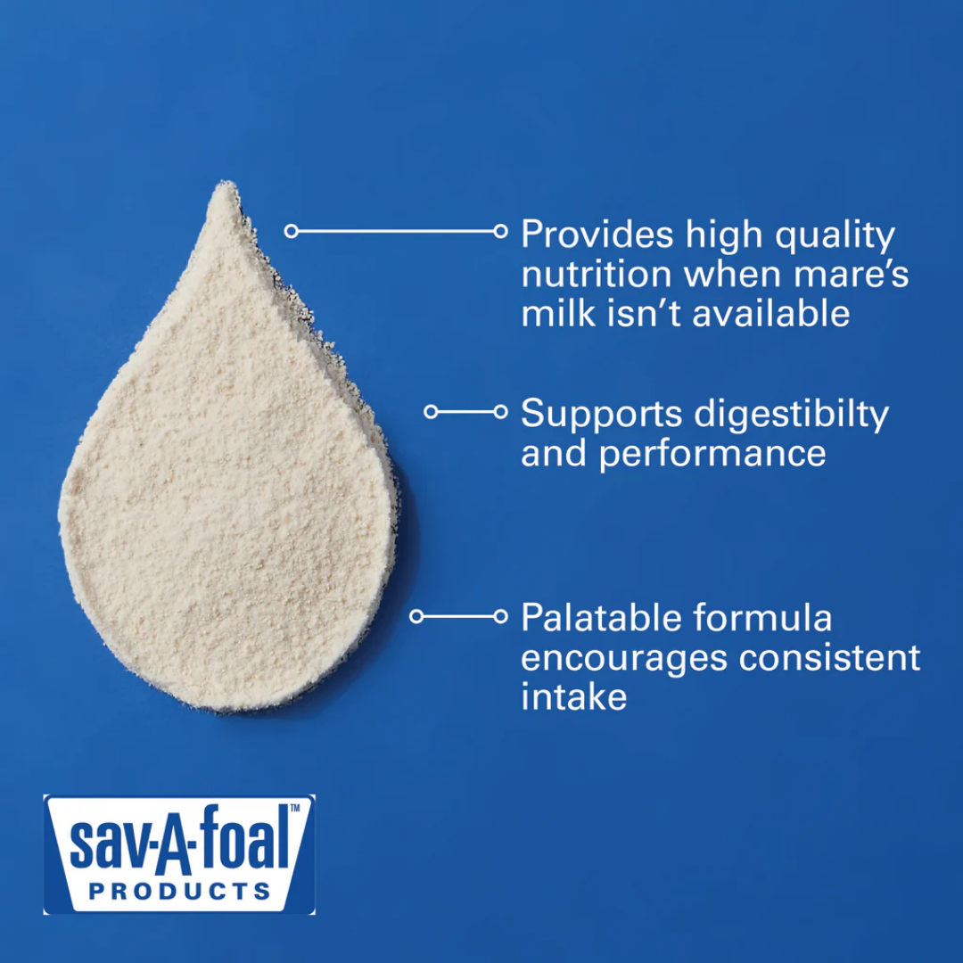 Sav-A-Foal Milk Replacer