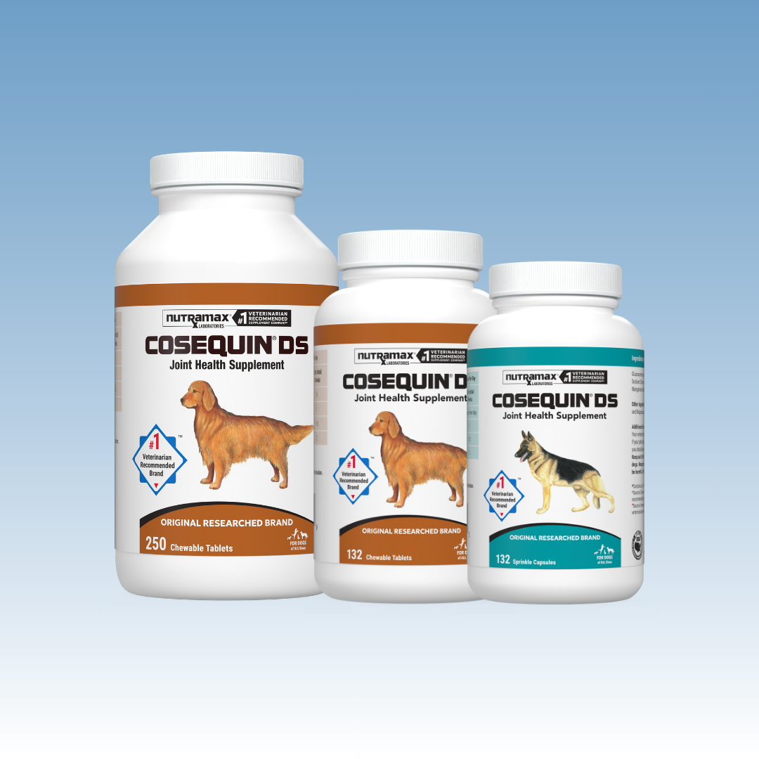 Cosequin DS