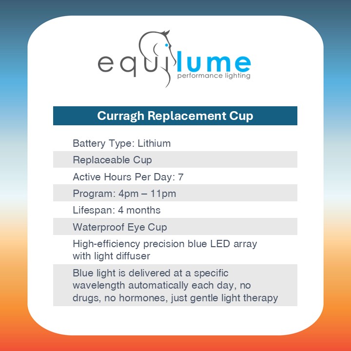 Equilume Curragh Replacement Cup