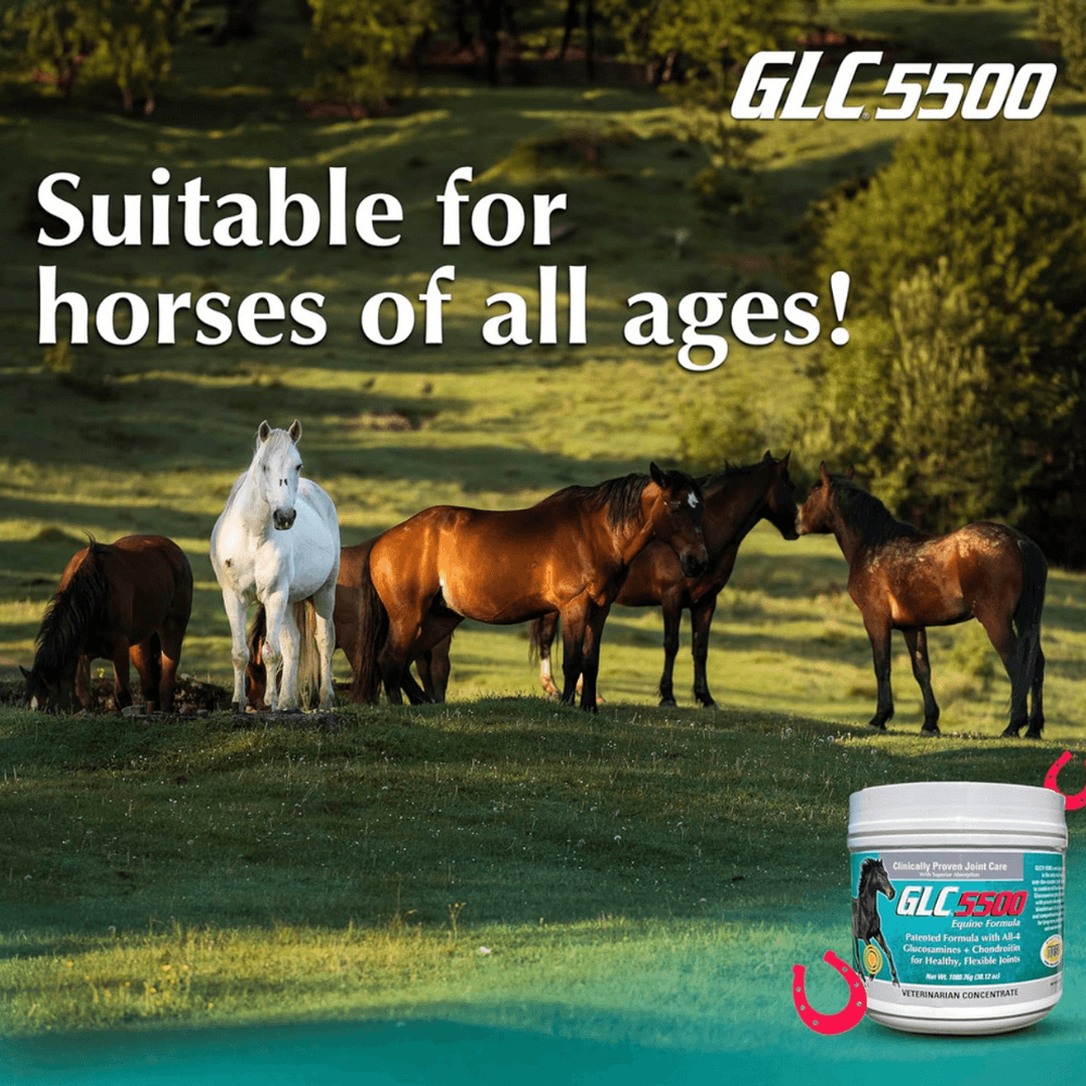 GLC 5500 Equine Formula