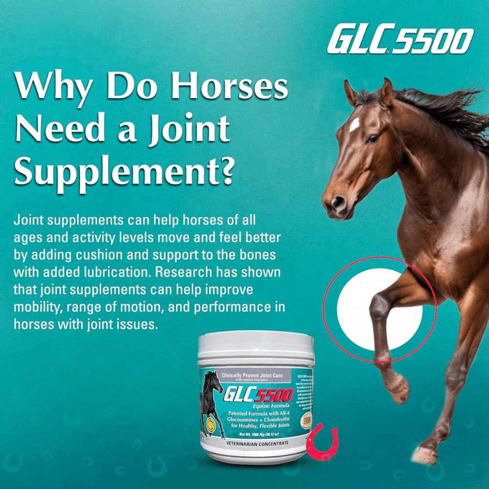 GLC 5500 Equine Formula