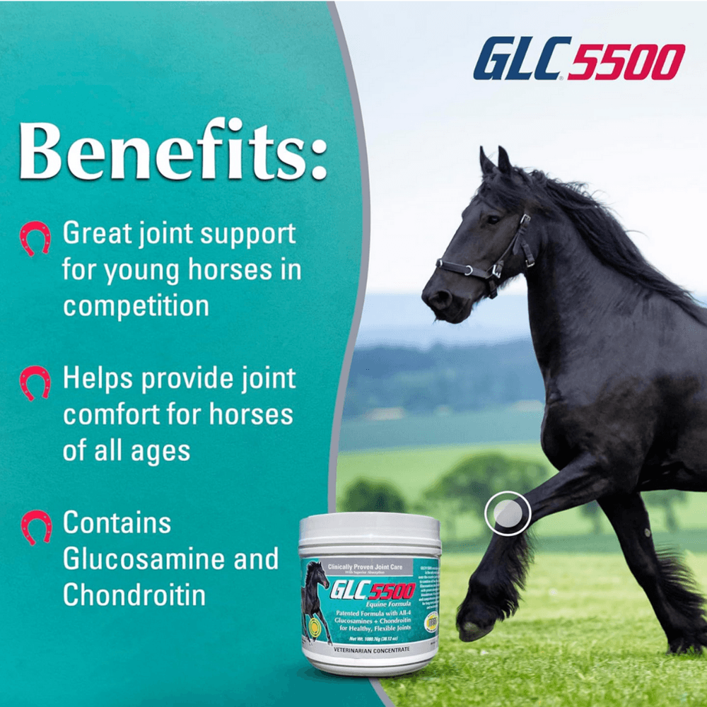 GLC 5500 Equine Formula