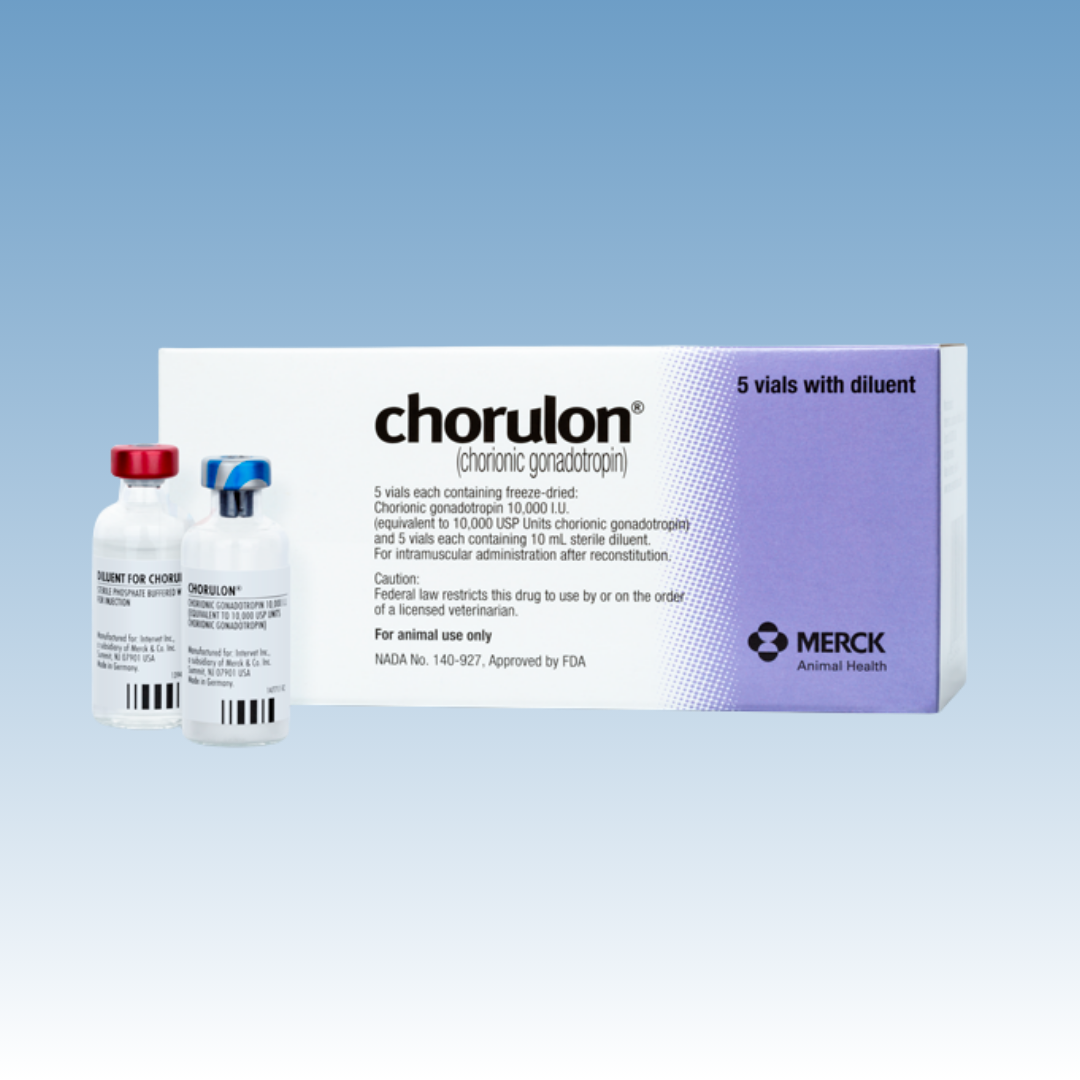 HCG (Chorulon)