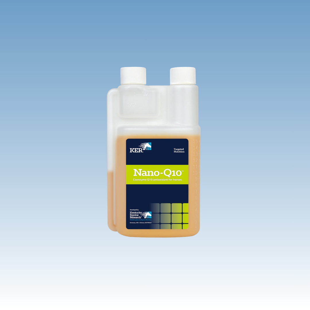 Nano-Q10