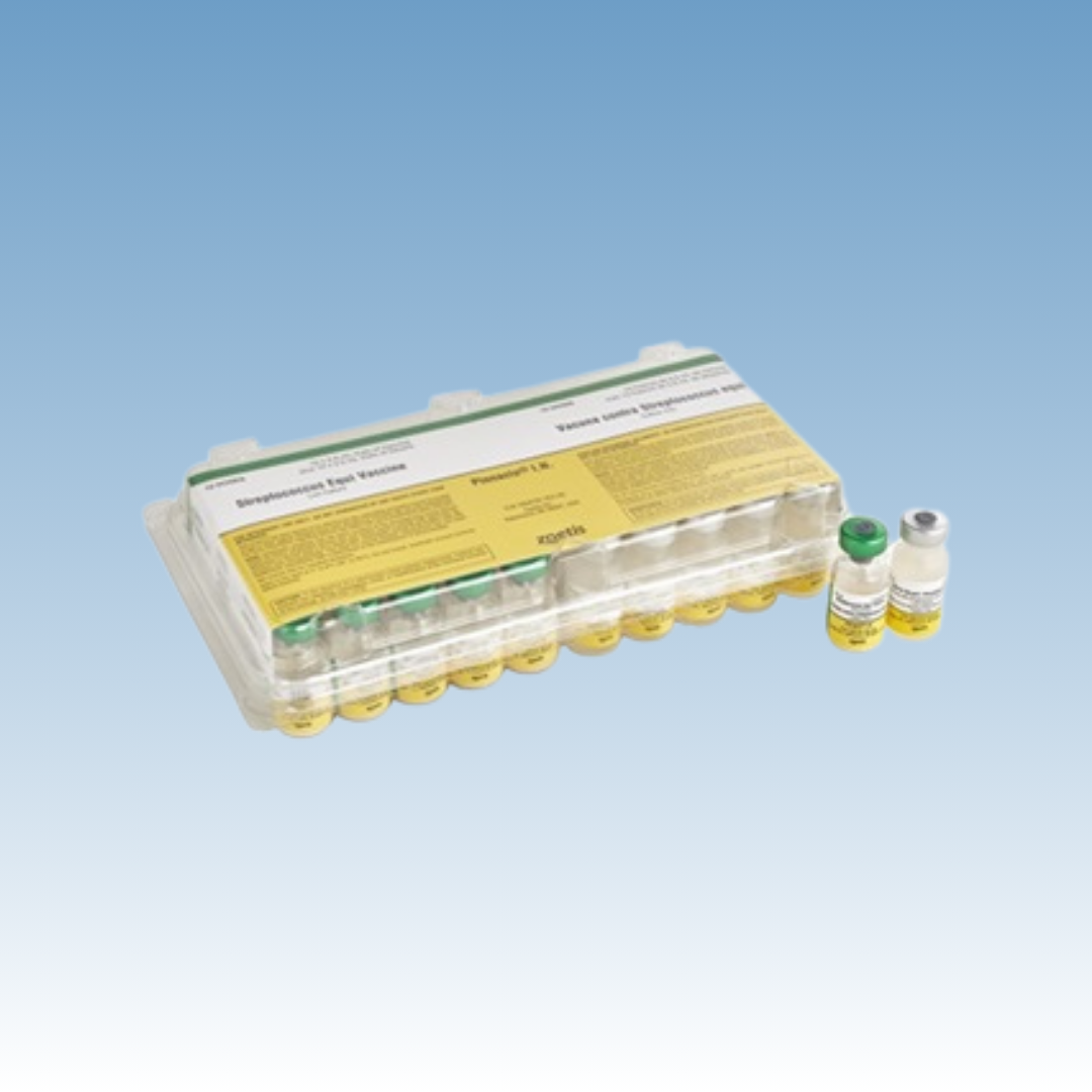 Pinnacle I.N. Vaccine+diluent (Strep. Equi) Zoetis