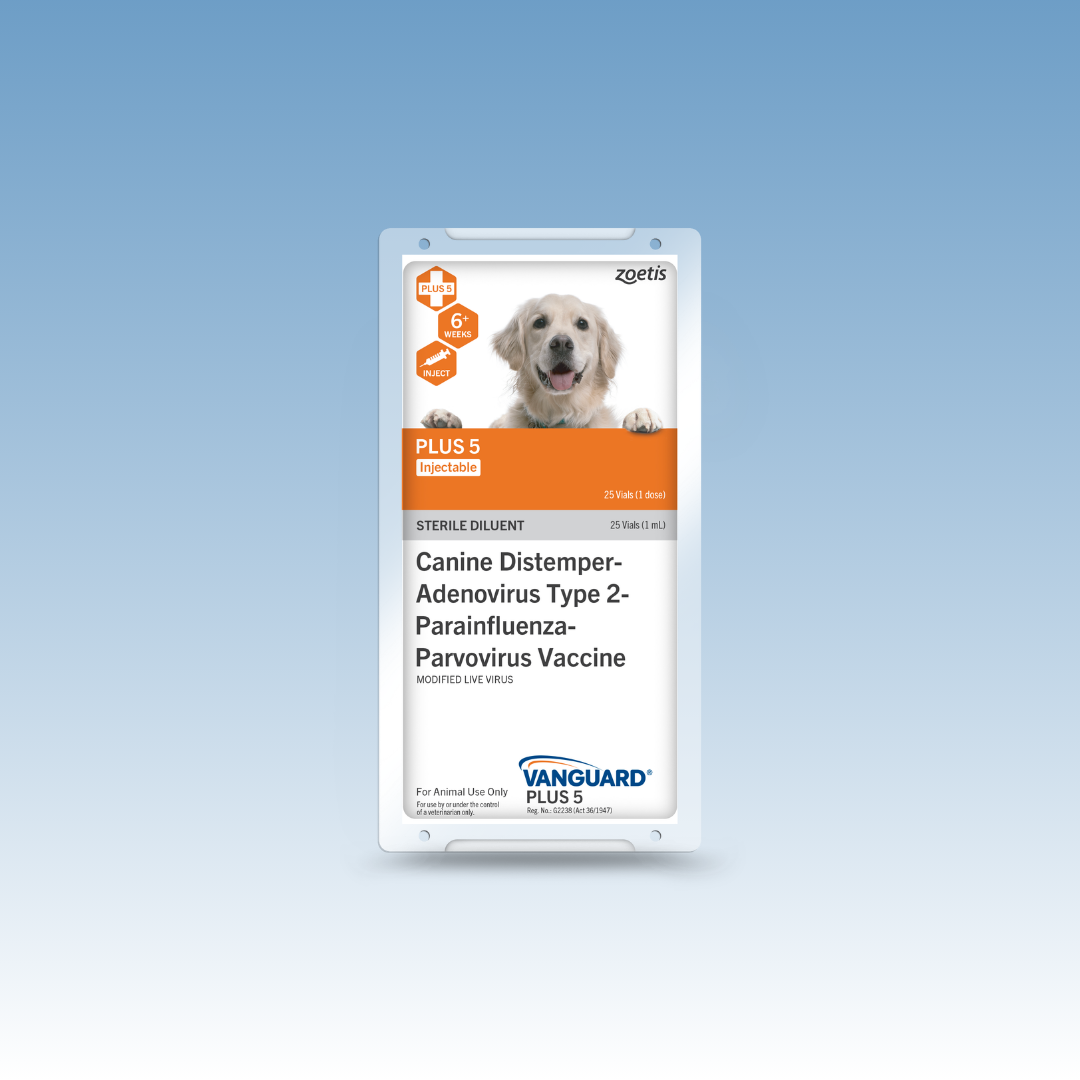 Vanguard Canine DAPP Vaccine