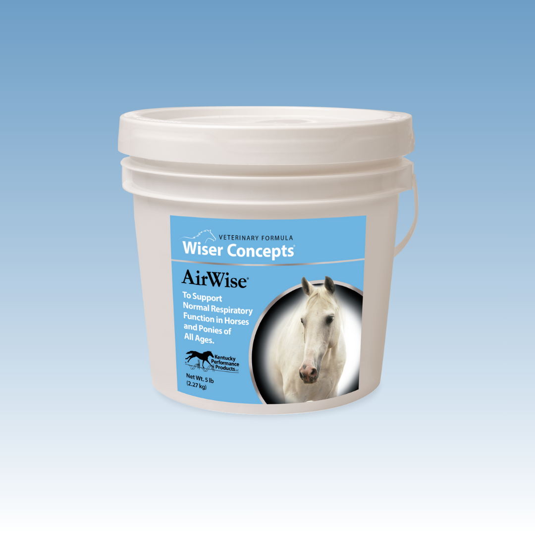 AirWise