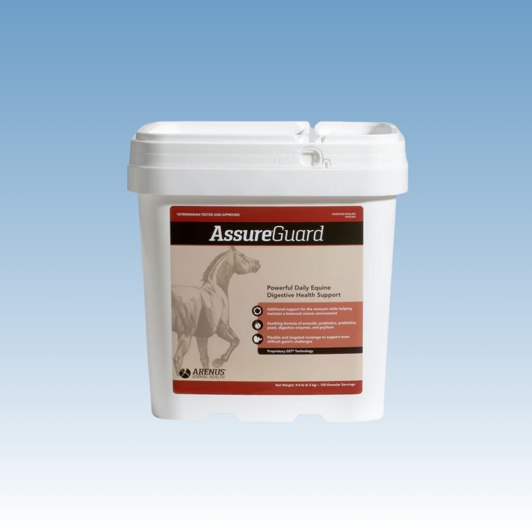 Assure Guard