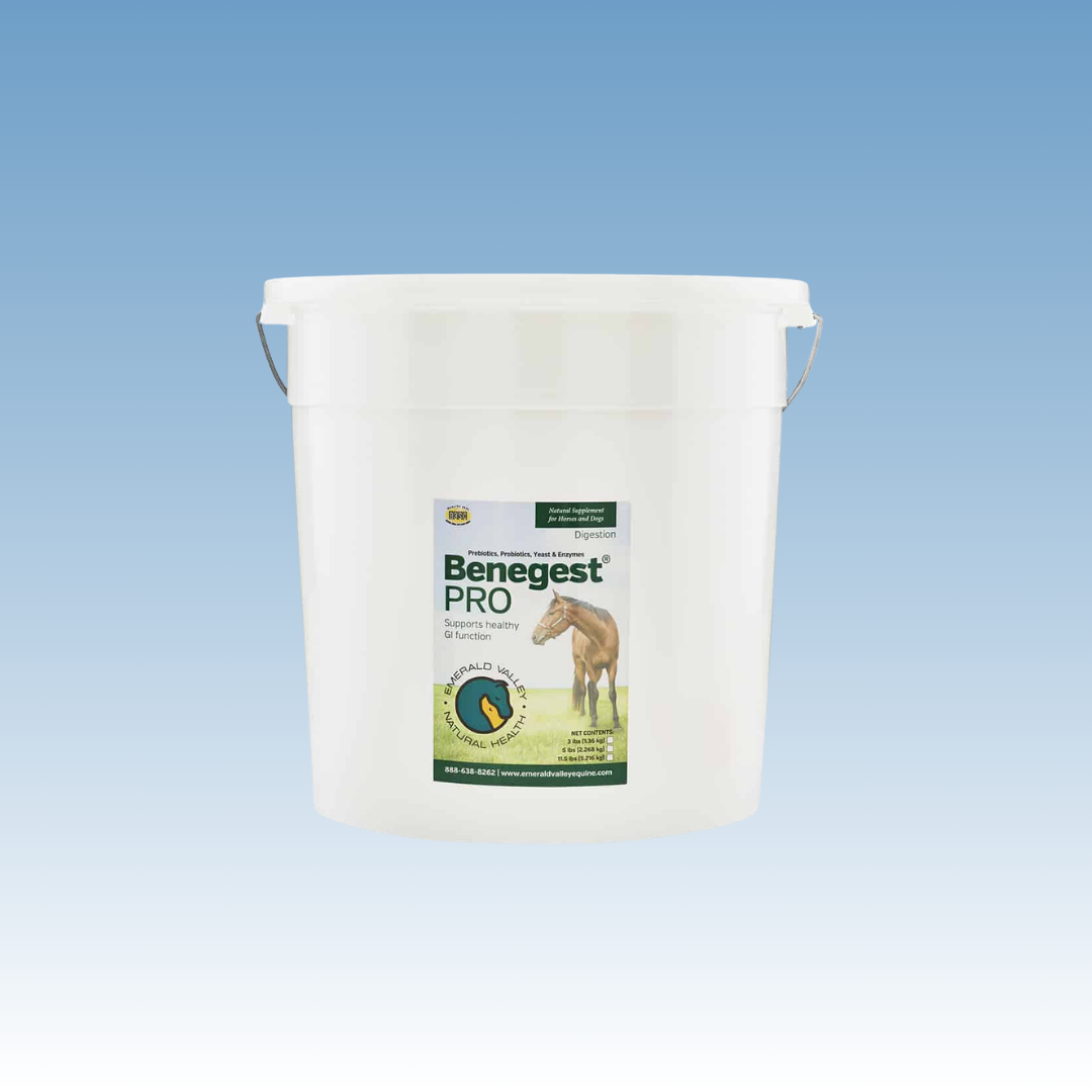Benegest Pro Digestion Supplement