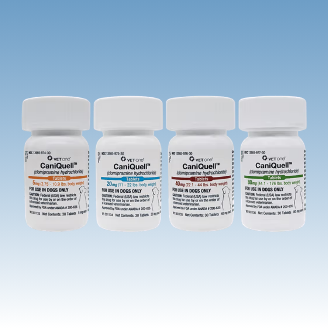 CaniQuell (Clomipramine HCL)