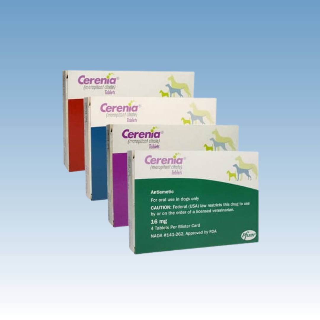 Cerenia (Maropitant Citrate)
