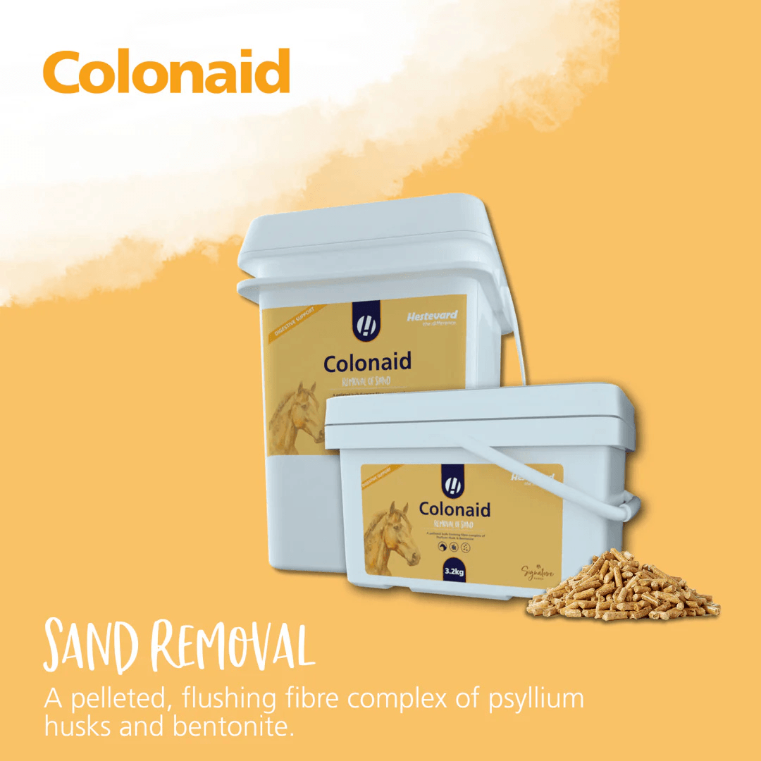 Hestevard Colonaid