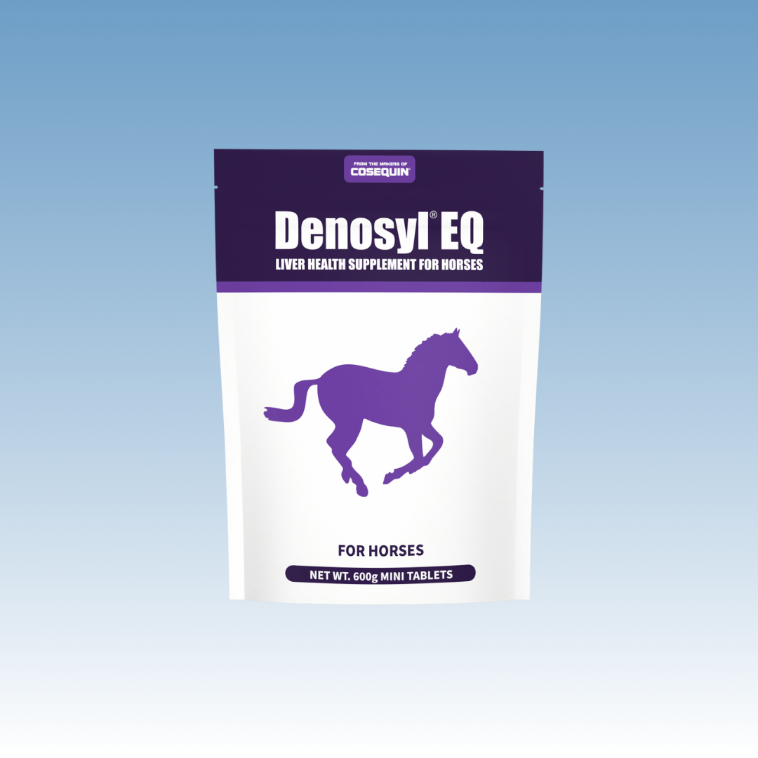 Denosyl EQ-Liver Health Supplement for Horses