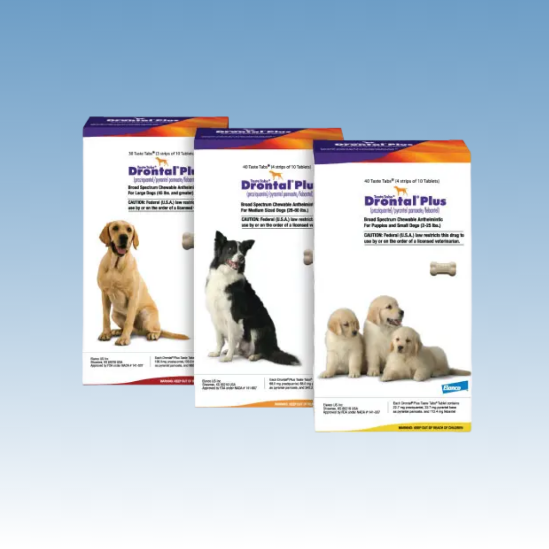 Drontal Plus Canine (Praziquantel/Pyrantel Pamoate/Febantel)