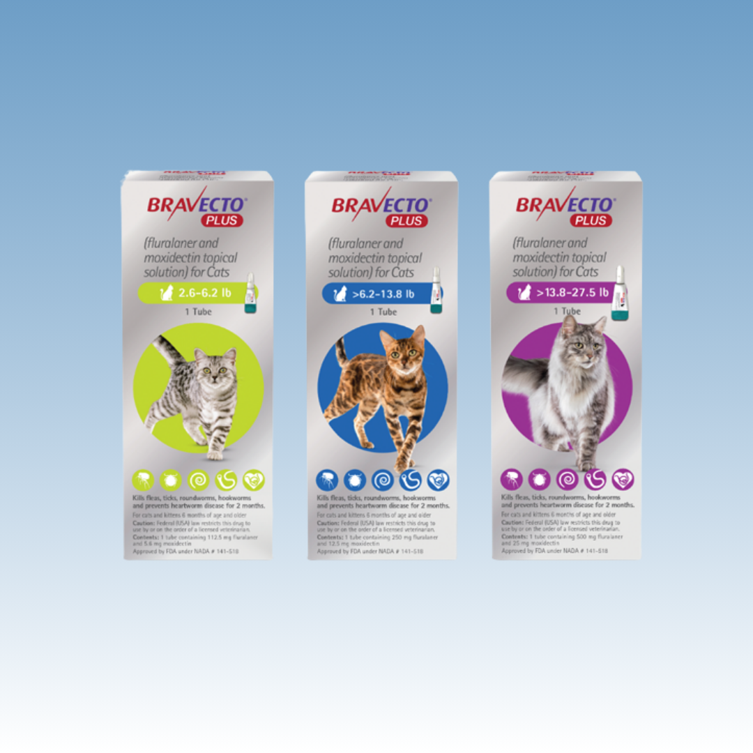 Bravecto Plus Feline