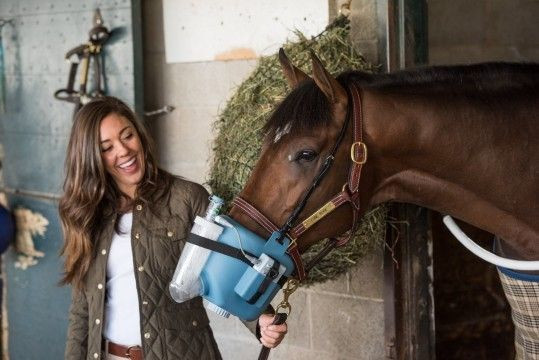Flexineb Full Portable Equine Nebulizer