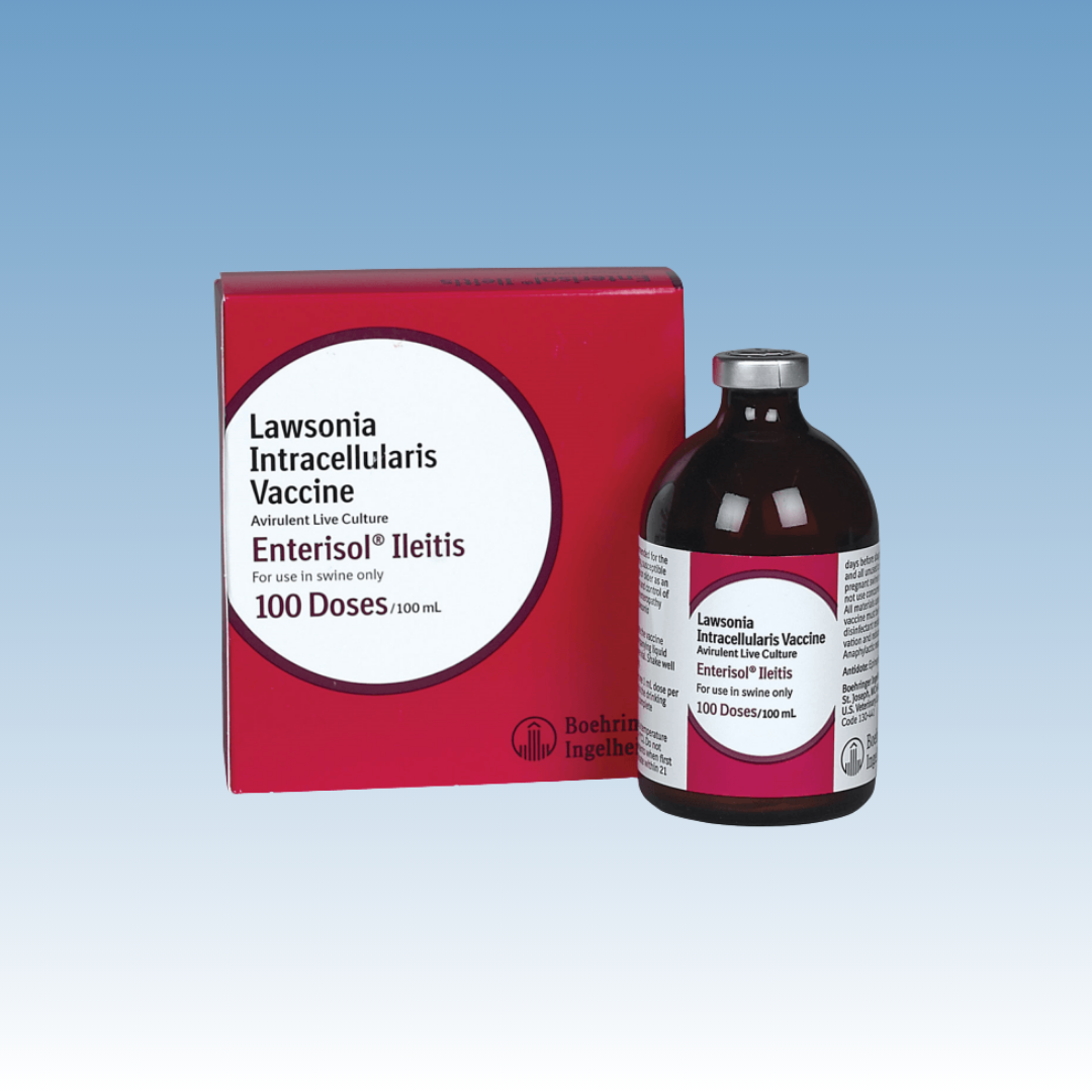 Lawsonia Intracellularis Vaccine BI