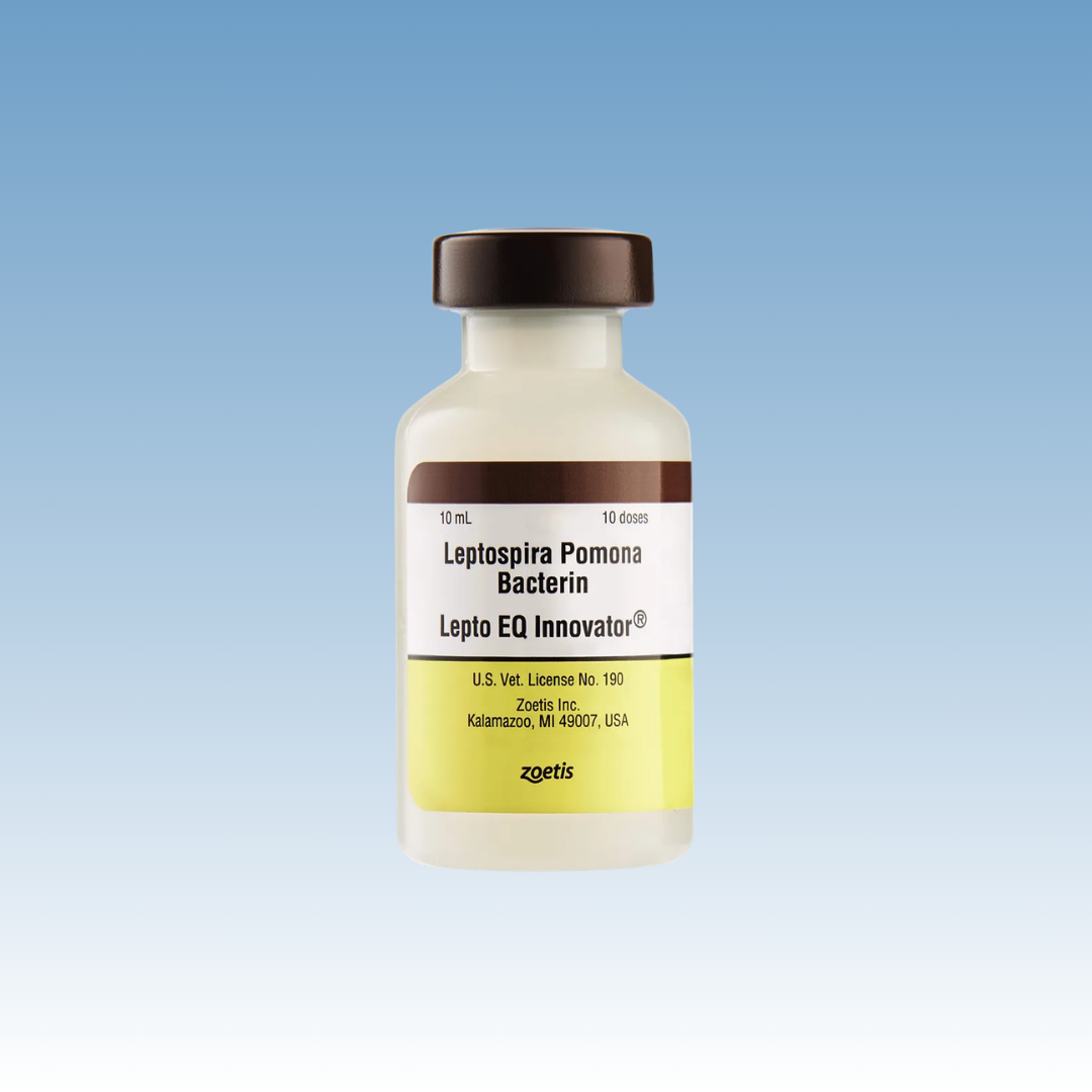 Lepto EQ Innovator Vaccine (Leptospirosis) Zoetis