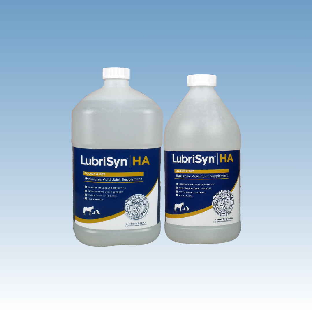 LubriSyn EQ Oral HA