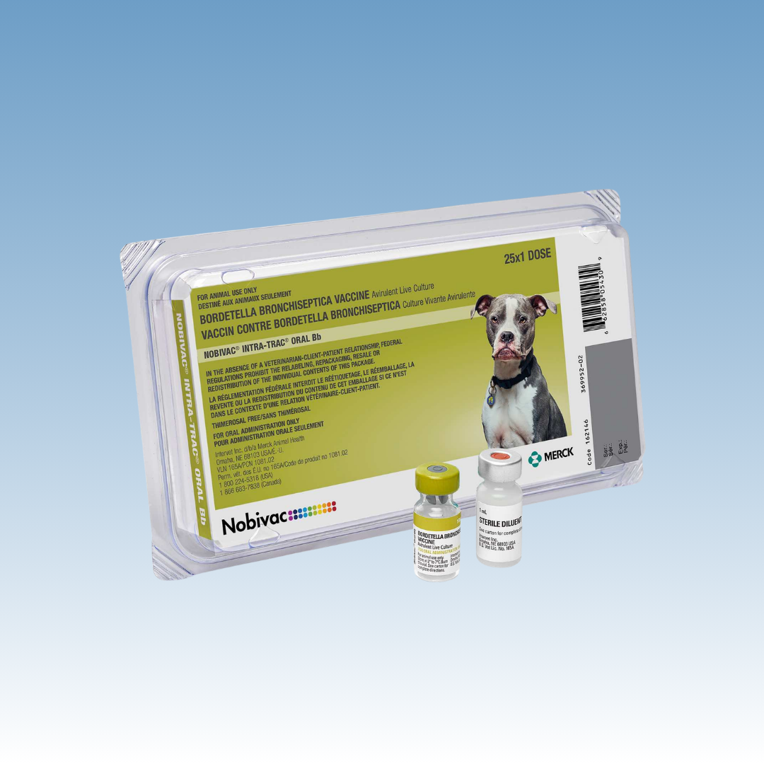Nobivac Canine Intra Trac ORAL Vaccine (Bordetella) Merck