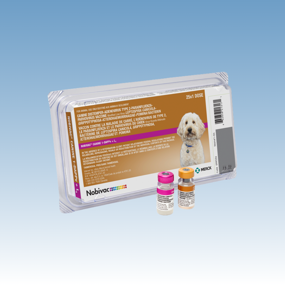 Nobivac Canine 1-DAPPv+L4 Merck