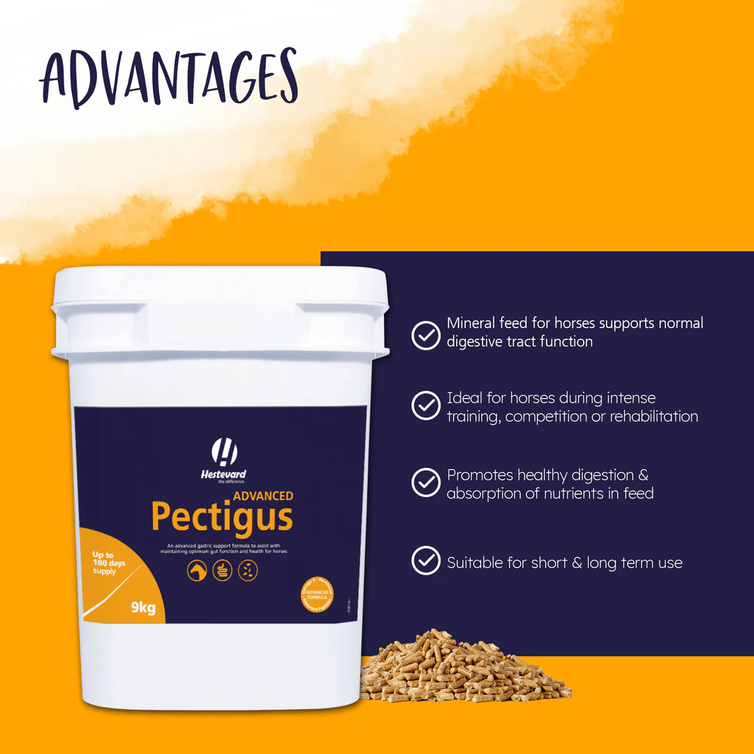 Pectigus ADVANCED by Hestevard