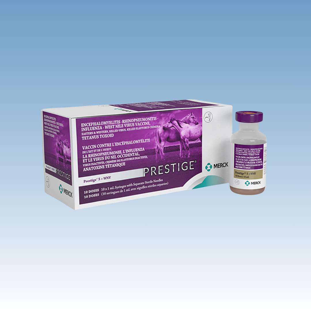 Prestige V + WNV Vaccine (Flu/Rhino/EWT/WN) Merck
