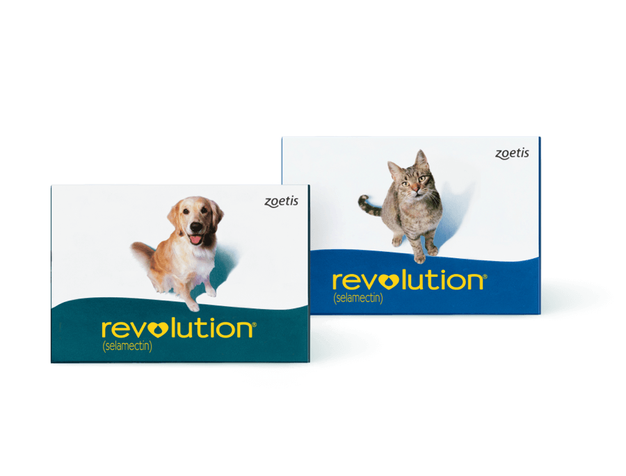 Revolution Feline (Brown 15-22 lbs)