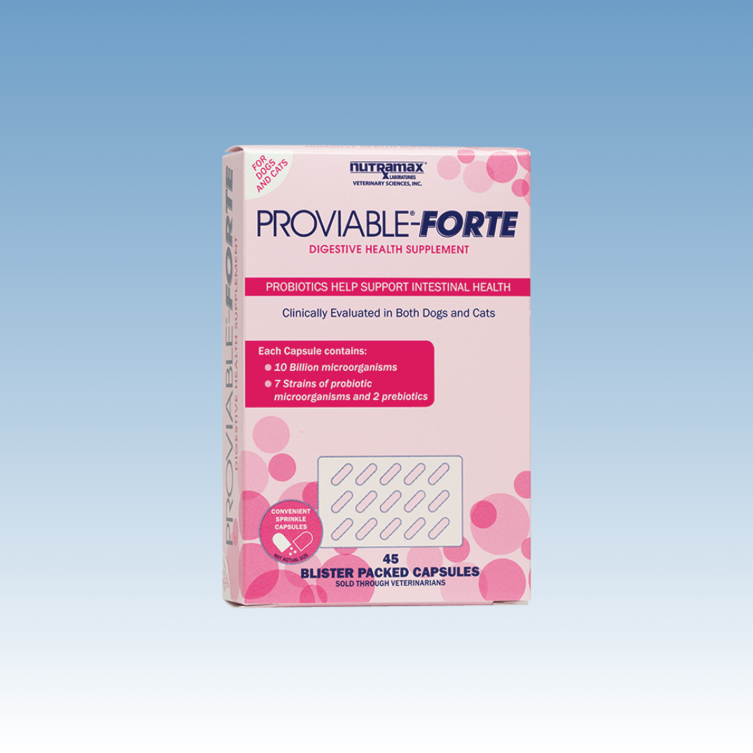 Proviable-Forte for Dogs & Cats