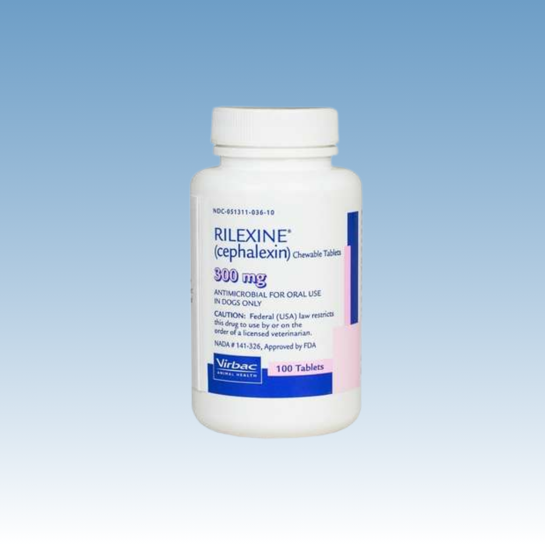 Rilexine (Cephalexin)