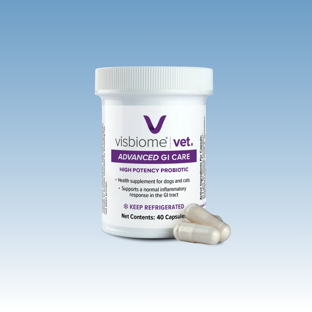 Visbiome Vet Probiotic