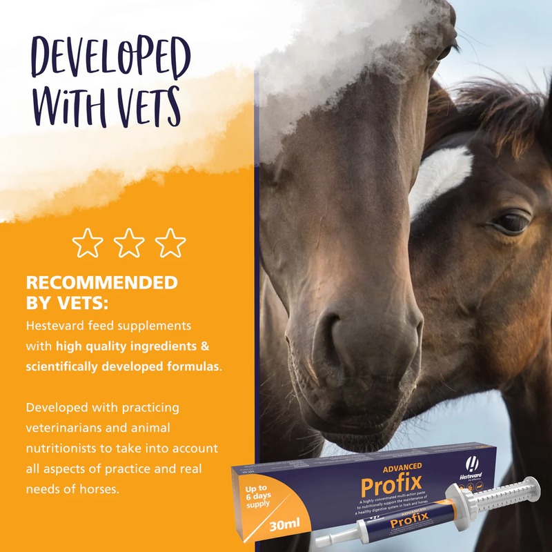 Hestevard Profix Advanced Paste